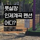 버드나무펜션 | 인제 계곡 펜션 추천 풋살장+불멍+야외영화까지? 용대리펜션