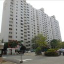 하단동1175 이미지