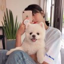 민도희 카카오 검색결과