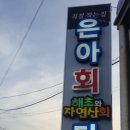 싱싱회타운 이미지