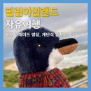 (주)필립 | 필립아일랜드 투어 없이 자유여행, 펭귄 퍼레이드 명당, 계단석 앞자리 후기