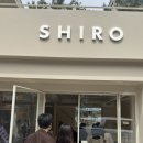 이마트24 성수으뜸점 | [트랜드 LAB] 시로(SHIRO) 성수 플래그십스토어 방문후기(4/27)