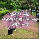 문학산 정상 | 생생국가유산 비류백제를 찾아 떠나는 문학산 야행 후기