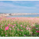 함덕언니 이미지