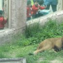 그랜드주유소 이미지