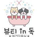 뷰티 in 독 이미지