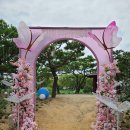 부여 서동공원 궁남지 연꽃축제 이미지
