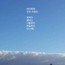 바다축제 이미지