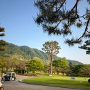 조디아 | 분당 골프샵 조디아 ZODIA CGX CB2 중고 아이언 시타 후기 스틸파이버 H TOUR 90