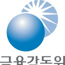 금융감독원 이미지