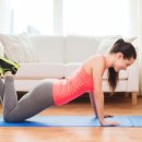 스테디 휘트니스(안일점) 이미지