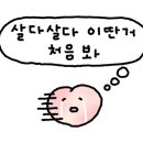 맛나당칼국수 이미지