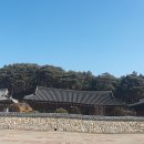 유등리 이미지