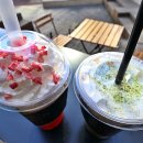 롯데시티호텔 제주 이미지