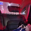 미용하는 강아지 살롱 이미지