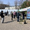 생활원예(반려식물) 이미지