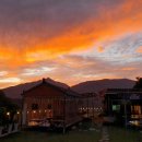 놀다가개 이미지