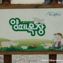 한국목장 이미지