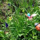 미르하우스1157 이미지