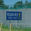용출도해수욕장 네이버블로그