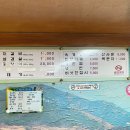 마포숯불갈비 | 하안동 30년 노포 돼지갈비, 마포숯불갈비 다녀온 솔직후기🥩