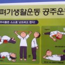 몸펴기 운동(야간) 이미지