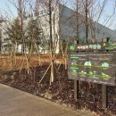 수원-1162 이미지