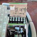 고성 낚시터 | 강원도 고성 참가자미 동해호 낚시 체험 운영정보, 예약, 주차 꿀팁