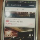 세일투나잇