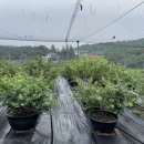 대경농장 이미지