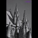 고운미의원 이미지