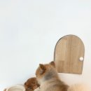 도토리살롱 이미지