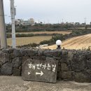 월정비앤비 | [제주] 숙소 동쪽 감성 달다락 에어비앤비 솔직후기