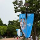 강화경기장 연습경기장 | 2025 쿠팡플레이 시리즈 '토트넘 X 뉴캐슬' 직관 후기! - 서울월드컵경기장 / 반입금지물품