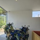카페돈들막 | 전주 근교 분좋카 추천, 완주 돈들막 카페 방문 후기