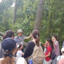 국립칠곡숲체원 | 국립칠곡숲체원 완전 가이드: 숙박 후기 + 추천 프로그램 + 힐링 팁 (2025년 최신)