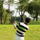 넥서스그린 이미지