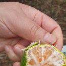 해광농장 이미지