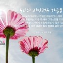 매일직업소개소 이미지