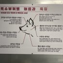 뒷돈상회 마산합성점 네이버블로그
