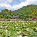 진도 운림산방 이미지