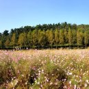 대한불교천태종대성사동해유치원 이미지