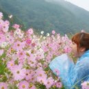 카사미아네일 이미지