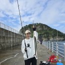 동삼하리항 이미지