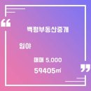 백평부동산중개 이미지