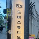 부산 반려동물 사진관 도비스튜디오 후기 / 부산 강아지 화보 추천 / 강아지 사진관 추천