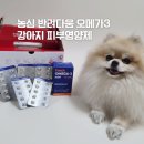 다움 | 강아지 오메가3 추천, 농심 반려다움 피부 영양제 후기