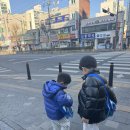 물개키즈스윔 이미지