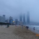 송도용궁구름다리 이미지