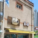 릴리네 애견미용실 이미지